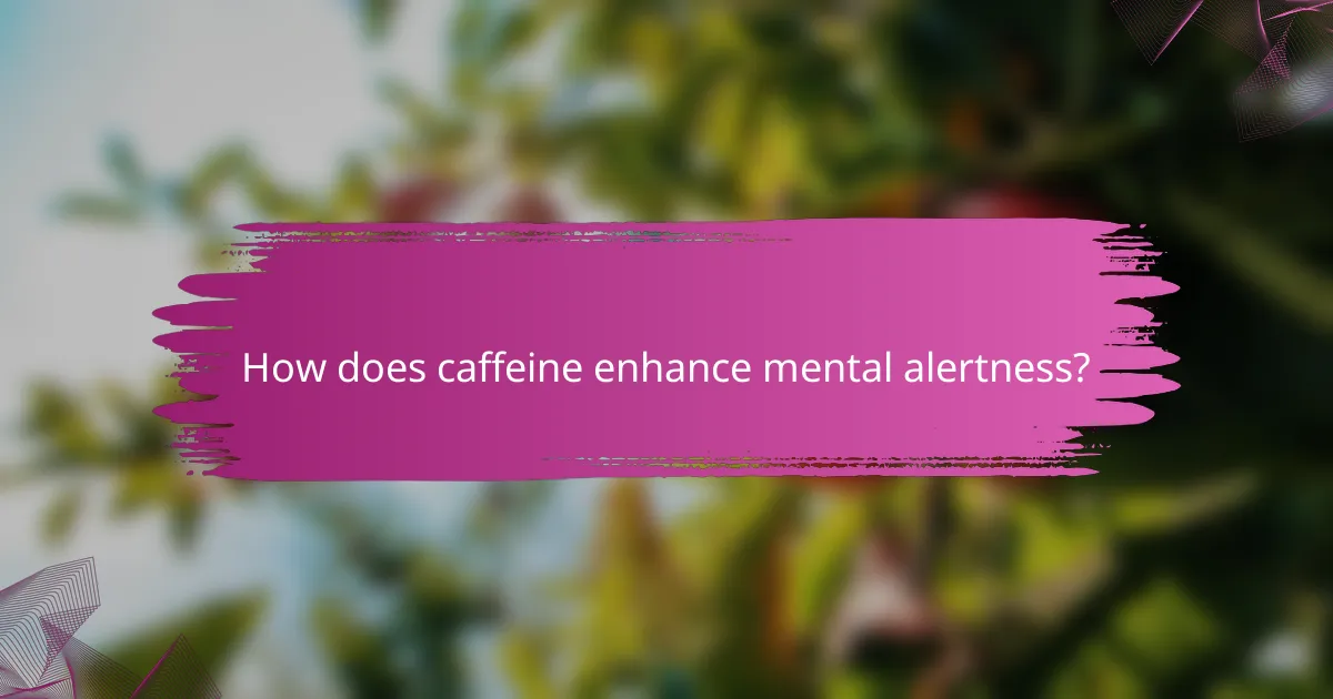 How does caffeine enhance mental alertness?