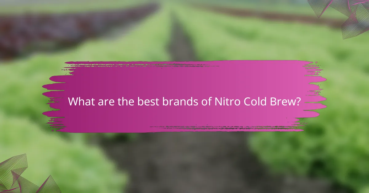 What are the best brands of Nitro Cold Brew?